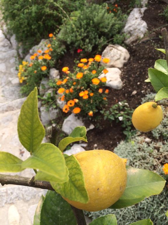 B&B Alla Bonacina Malnago 外观 照片
